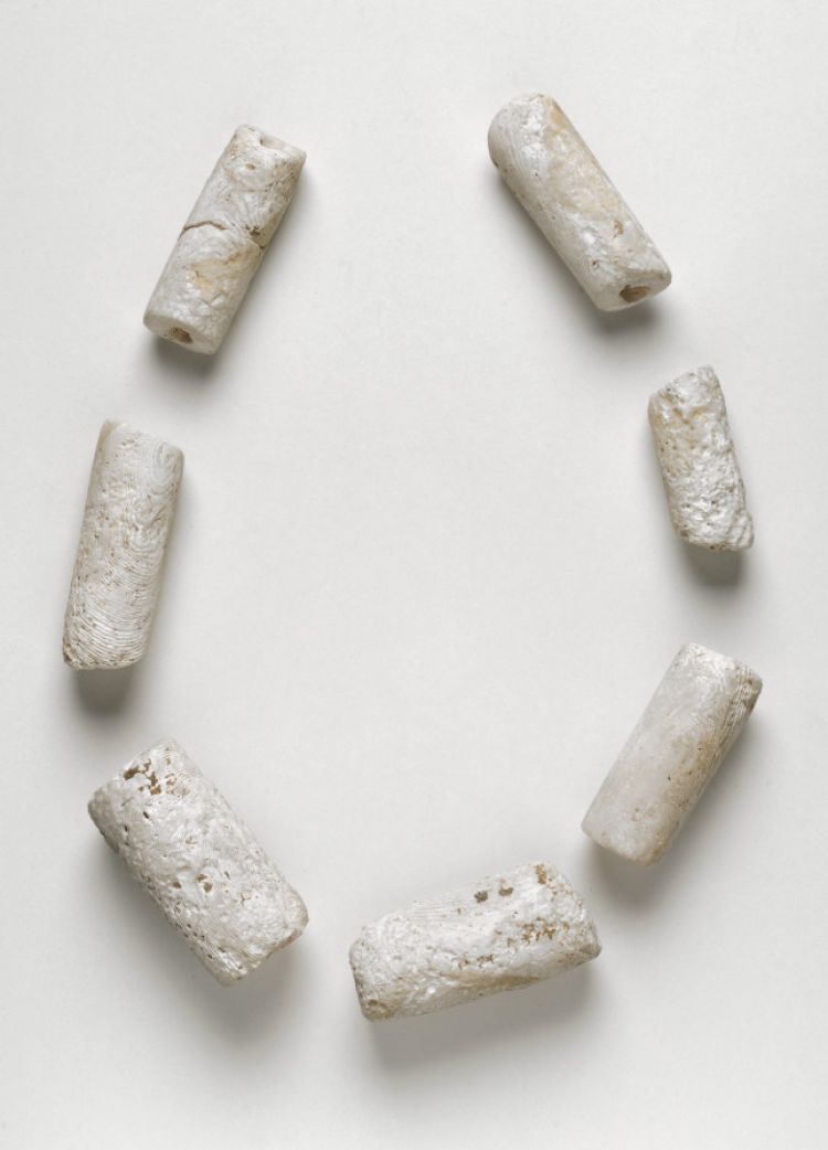 Parure en spondyle, Osthoffen, Néolithique, Photo : Musées de la Ville de Strasbourg