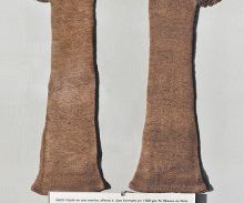 Les gants en soie marine (Grande nacre ou jambonneau de mer, Pinna nobilis), musée Zoologique.